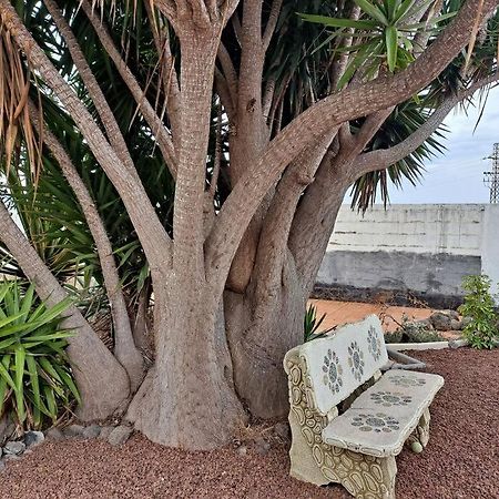 איקוד דה לוס וינוס Tenerife Apartment Dulcynea With Terrace And Garden 600M2 With Ocean And Teide View מראה חיצוני תמונה