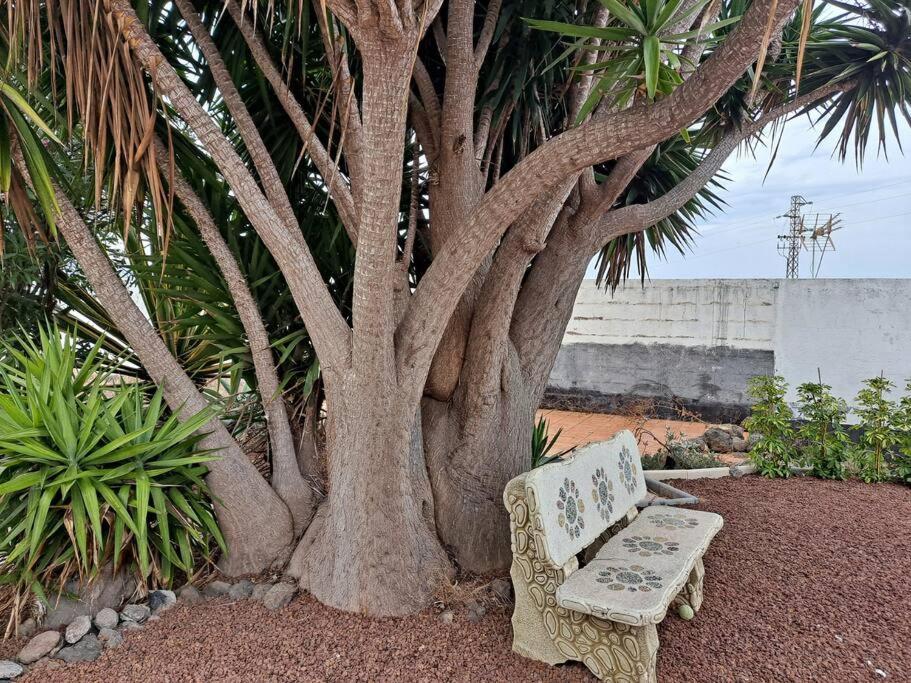 איקוד דה לוס וינוס Tenerife Apartment Dulcynea With Terrace And Garden 600M2 With Ocean And Teide View מראה חיצוני תמונה